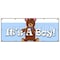 Signmission ITS A BOY! BANNER SIGN birth pregnant hospital welcome home B-120 Its A Boy - alternate 1